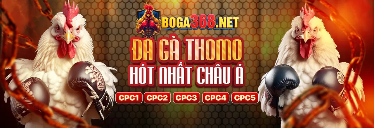 Đá Gà Trực Tuyến EX88 Đăng Nhập - Trận đấu gà kịch tính