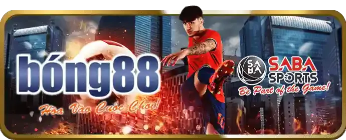 Chương trình VIP ex88